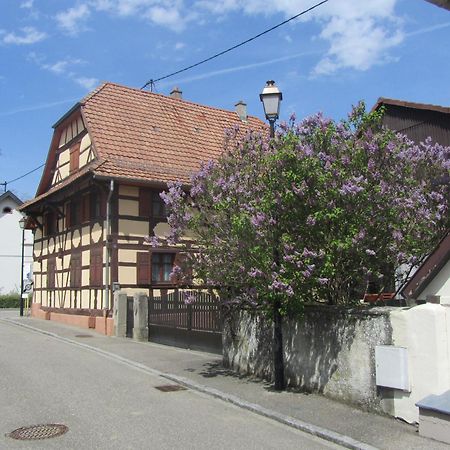 Logis Hotel Restaurant Au Lion Rouge Bartenheim Exterior photo